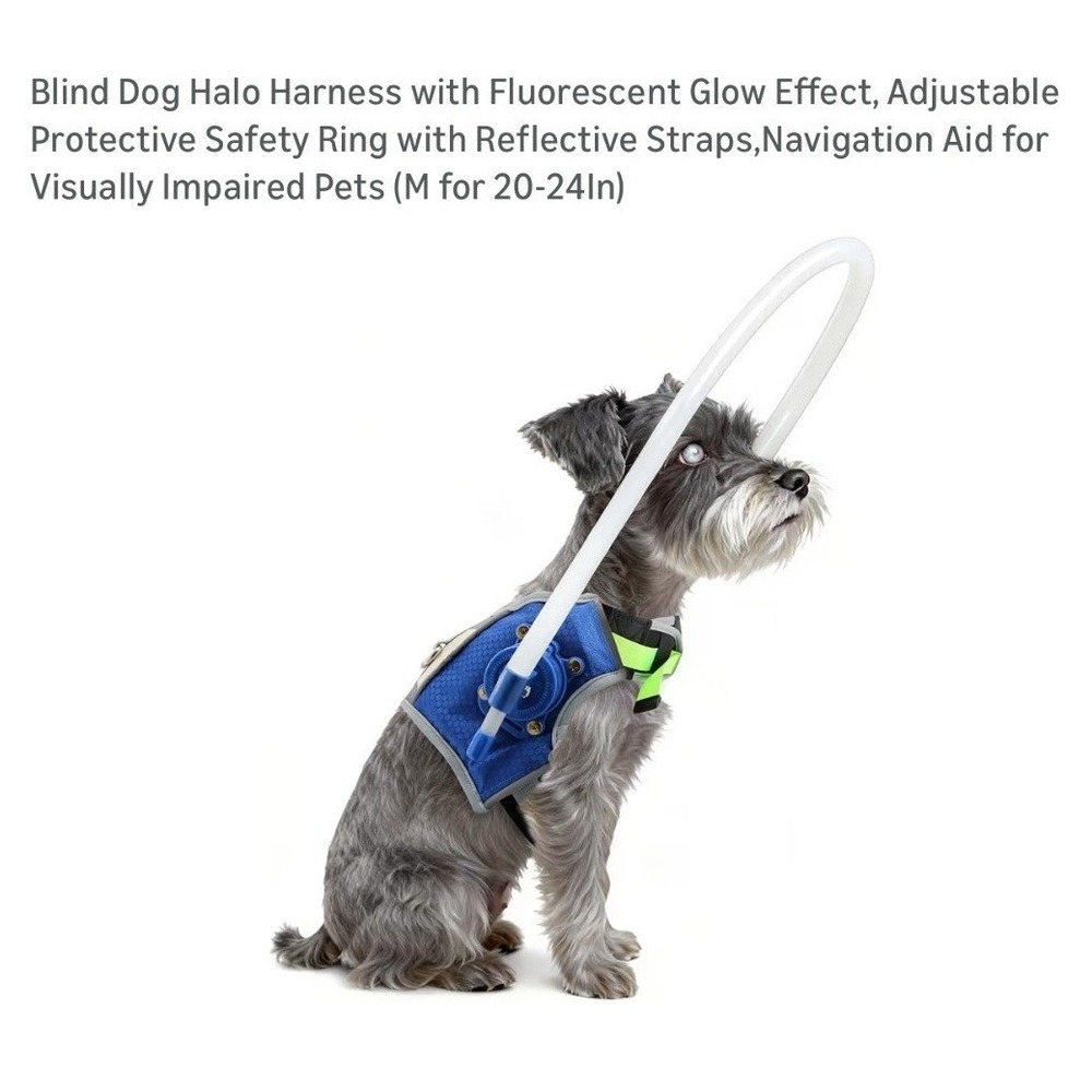 LetPetRun Blind Dog Halo Harness Blue Fluorescent Reflective Safety Ring Medium